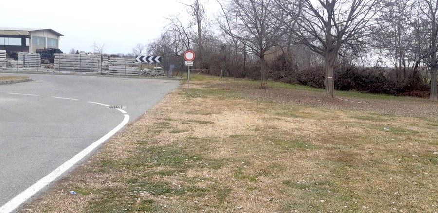 Auto Esce Di Strada E Si Schianta Contro Un Albero Quattro