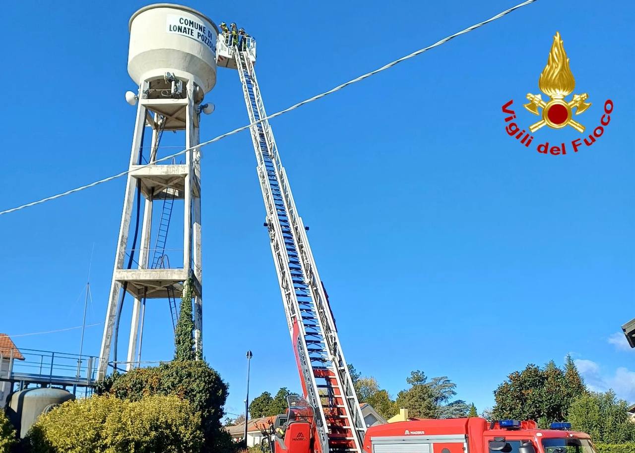 Raffiche Di Vento Sulla Provincia Di Varese: Alberi Caduti E Cartelli ...