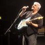 ‘Je sto vicino a te forever’, a Napoli il concerto di tributo a Pino Daniele