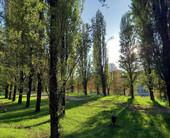 A Torino ruota panoramica ai Giardini Ginzburg, Lo Russo: &quot;Ci stiamo lavorando&quot;