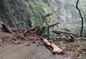 Dalle 9 la Liguria è in allerta arancione: scuole chiuse e danni per frane e intense piogge. Tutti gli aggiornamenti