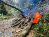 Chiusa a scopo precauzionale fino a cessata emergenza la strada della Comba Carbonieri