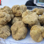 Il tartufo non delude: folla e sole per la fiera nazionale del tartufo e i &quot;Gioielli del territorio&quot; [FOTOGALLEY]