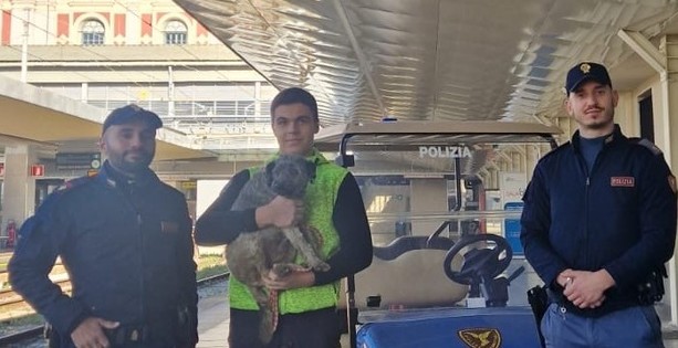 Un cane smarrito rischia di finire sui binari del treno a Porta Nuova: la polizia interviene e lo salva