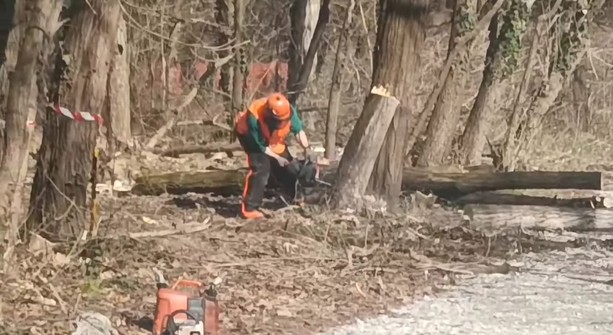 Attimi di tensione al Meisino, attivisti cercano di bloccare i lavori nel parco