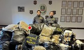 Operazione antidroga al confine con la Svizzera: sequestrati oltre 400 kg di stupefacenti