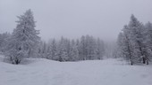 Domenica torna la neve sulla montagne del Torinese: lunedì fiocchi in pianura