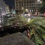 Alberi in città, Piciocchi rompe il silenzio: “Il fanatismo verde crea danni enormi”