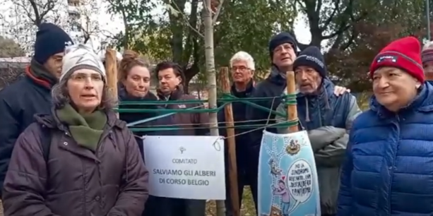 In corso Belgio prosegue il duello del verde: gli attivisti piantano un nuovo albero &quot;contro&quot; il Comune