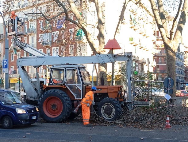 Largo Giulio Cesare tra spaccio e scarsa illuminazione: al via le potature degli alberi