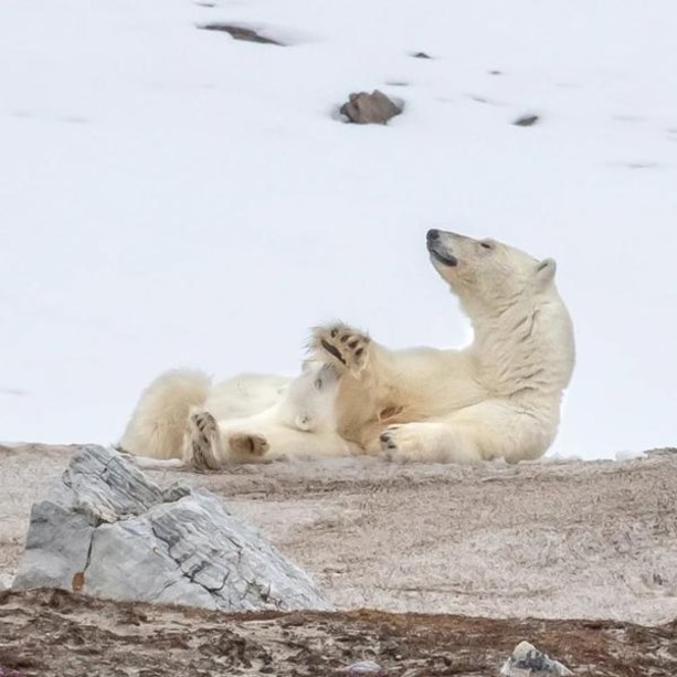 L'Artico e i cambiamenti climatici: una mostra fotografica a Nizza