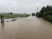 Maltempo, Albenga di nuovo allagata: diverse le strade chiuse al traffico (FOTO)