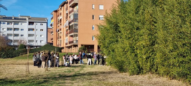 Dal circo alla danza: il Bosco urbano di Pinerolo diventa palcoscenico