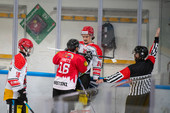 FOTO. Riappare il mago Franchini. E il power play. E l'organizzazione... Ora i Mastini sono i Mastini di Glavic