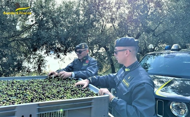 Vendevano olio di oliva comunitario come “100% italiano taggiasco”:  indagati i titolari di un agriturismo