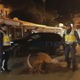 Sanremo: rotonda del porto vecchio semi distrutta da un'auto pirata, sarà inchiodato dalle telecamere (Foto)