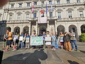 Da corso Belgio la protesta in difesa degli alberi arriva sotto il Comune: &quot;Tagliate 166 piante e mai sostituite&quot; [FOTO]