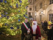 A Torino è Natale: si accende l'albero, il boschetto si illumina