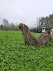 Vandalizzato il Dinosauro del geosito di Cortiglione: &quot;Il posto è abbandonato a se stesso. Da anni chiediamo il monitoraggio&quot;