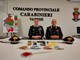 Blitz dei carabinieri a Brebbia: straniero tenta la fuga pistola in pugno, catturato sul tetto di casa