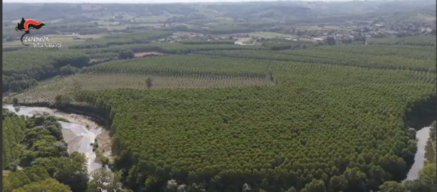 Carabinieri Forestali a tutela delle biodiversità dei fiumi astigiani: diverse le illegalità emerse nelle province di Alessandria ed Asti [FOTO E VIDEO]