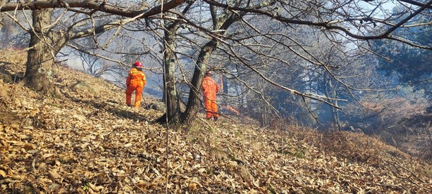 Incendio ad Alpicella, proseguono le operazioni di spegnimento: canadair ed elicotteri al lavoro