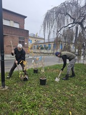 A Pinerolo torna il fine settimana dedicato al calicantus