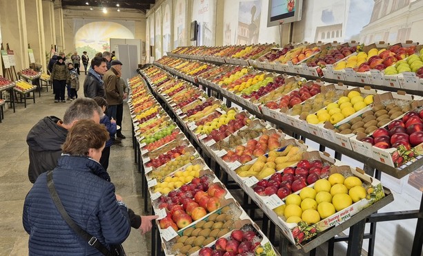 Dalla frutta alla pittura rupestre della Rocca: in arrivo gli ultimi appuntamenti di Tuttomele