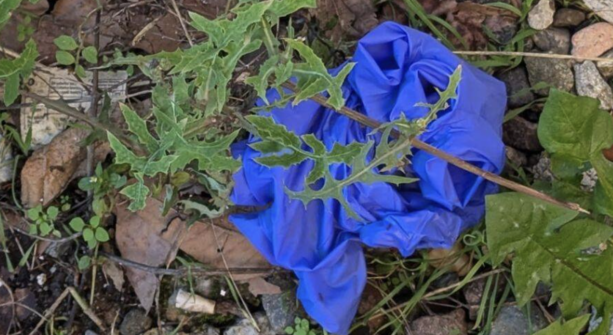 Omicidio di via Varese a Saronno: caccia all'uomo, si stringe il cerchio